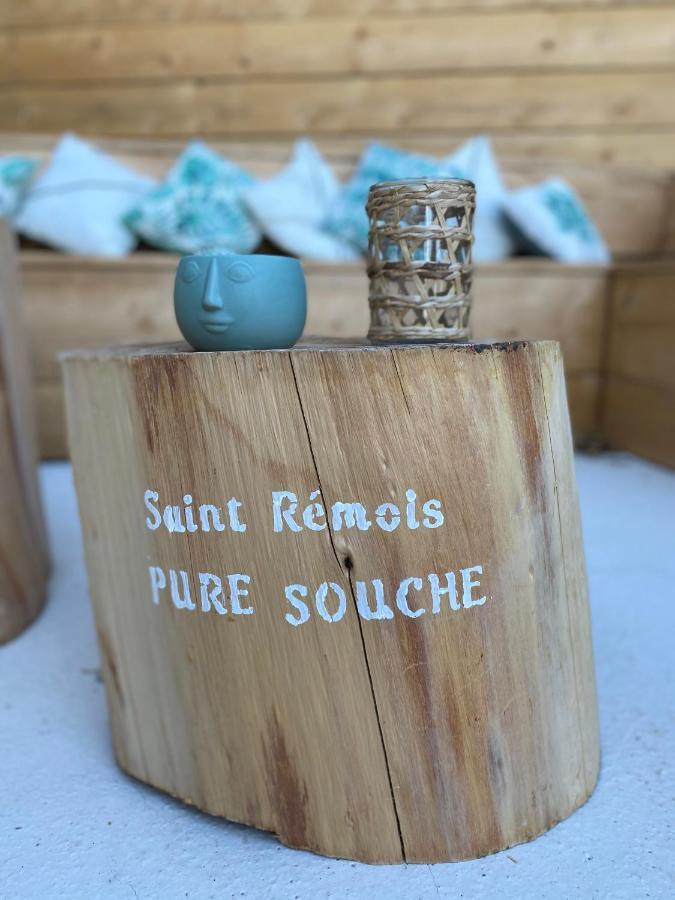 Saint-Rémy-de-Provence Mas Aupiho 빌라 외부 사진